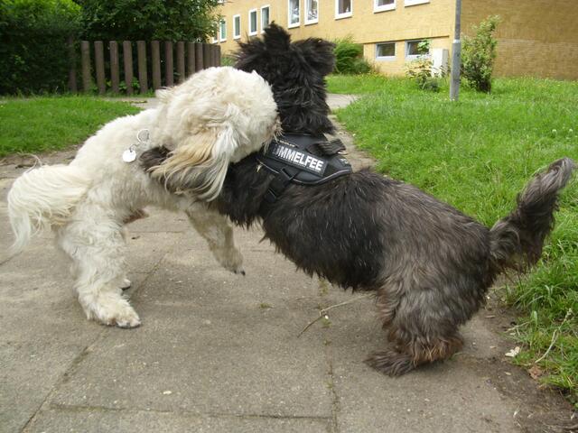 Tchachacha?!   ;-)))