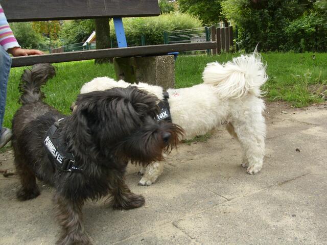 Was willste da... ?!