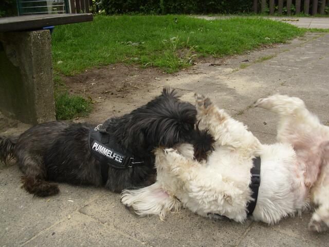 Das haste nun davon!