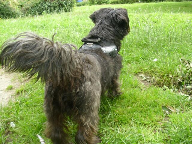 Nun geh' ich schuppern...(brauch ne Pause,aber Pssst ! )