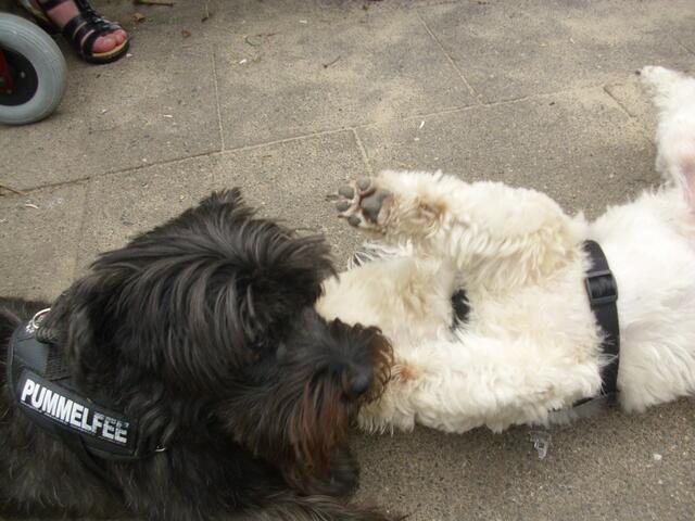 Komm,weiter spielen !