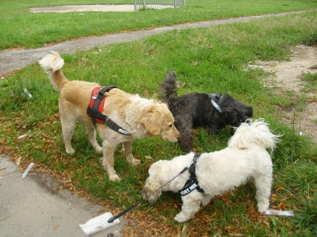 Sammy kommt ins Spiel...