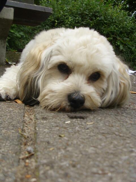 Nix fressbares,doof !