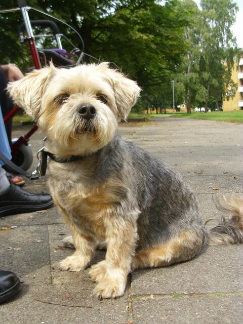 Ach so,werde auch geknipst,OK!