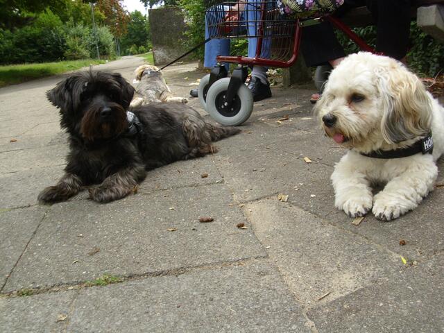 Abwarten,morgen gehts weiter!