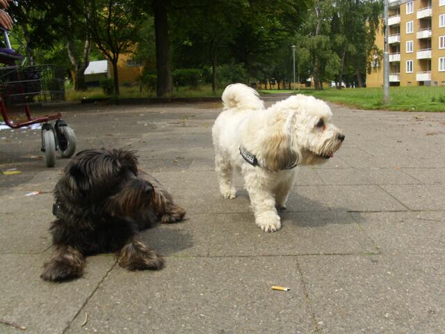 Guck mal da,kennste?