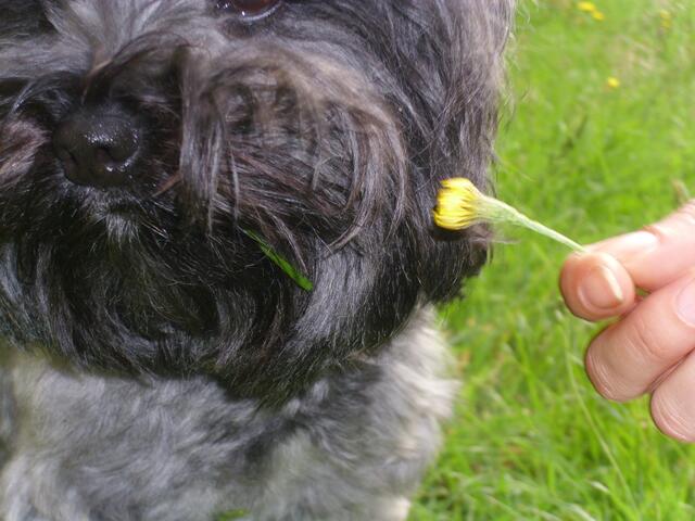 Mag nicht schnuppern...