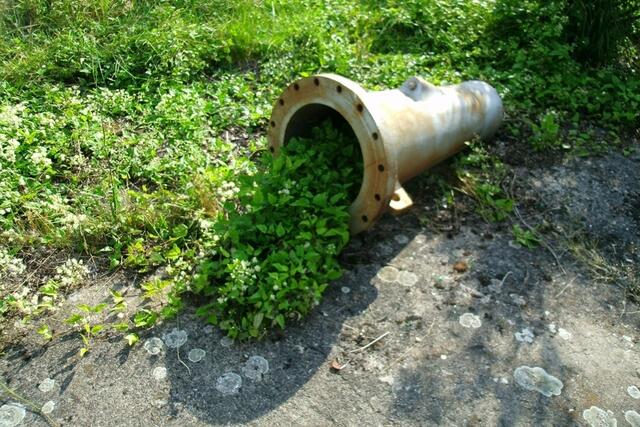 Wie dafür gemacht ;o)