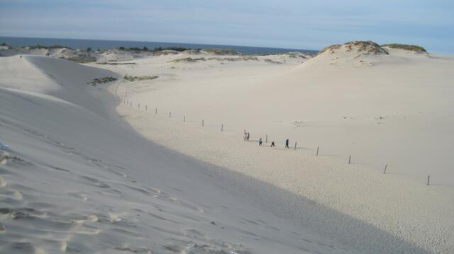Wanderdünen bei Leba