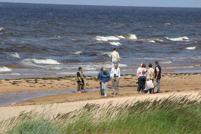 An der Ostsee wird Holz gesammelt