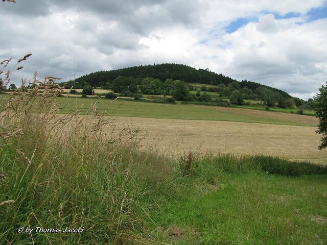 Blick zum Pöhlberg