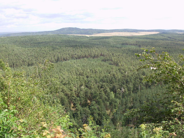 Oh, wie schön ist dieser Blick ins Harzland. | Foto: ela