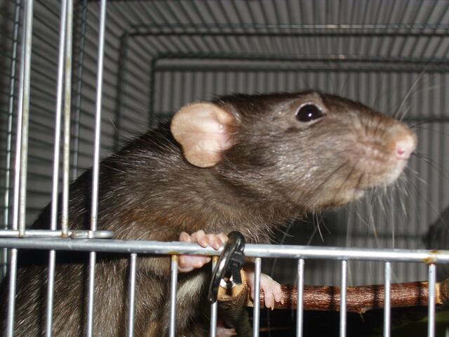 Noch drüber grübeln...