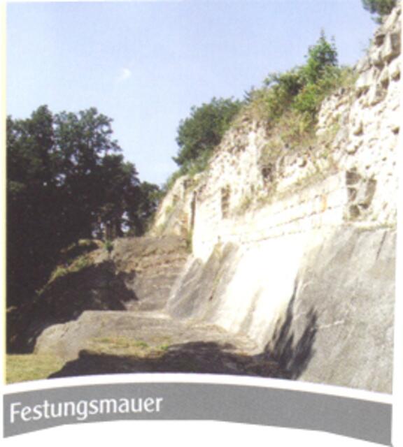 Foto: flyer, regenstein