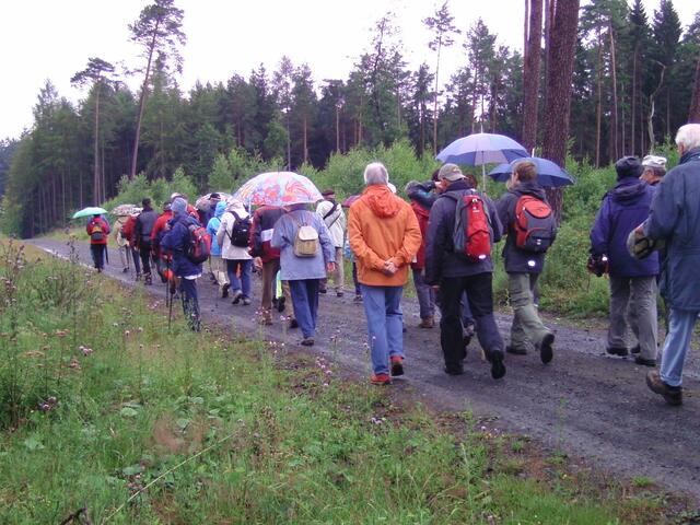 Regenschirmwanderung