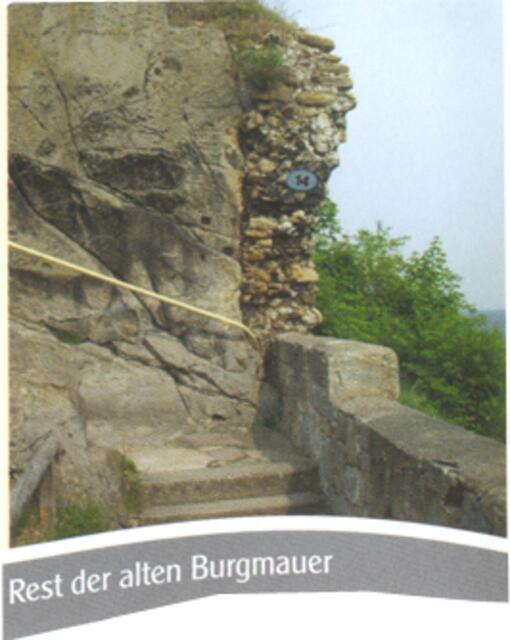 Foto: flyer, regenstein