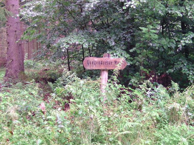 Hier gehts lang