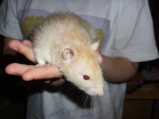 Aber noch neugierig!