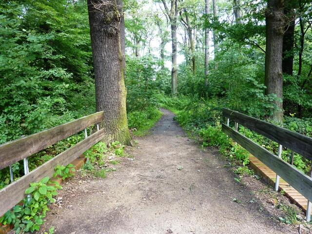 Hier geht es in den "Rhododendronpark". Vor ein paar Jahren wurde der hier beginnende Rundweg sogar mit weichem Rindenmulch belegt.