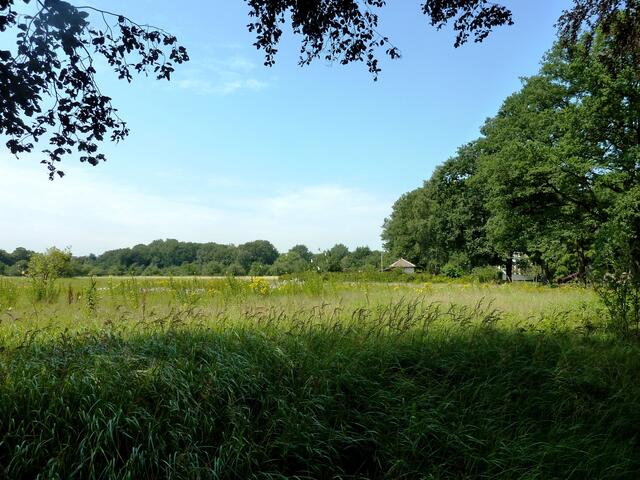 Die große Wildwiese