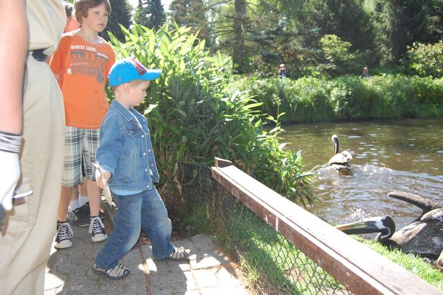 ...gut festhalten, sonst glitscht er weg und - ...