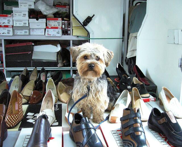 Marktschreier: "Hierher ihr Leute, seht welch schöne Schuhe, kauft liebe Leute, lederne Schuhe..."