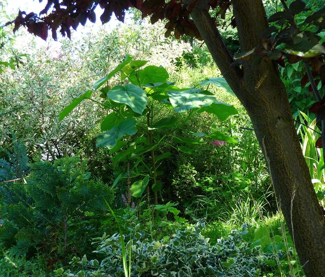 Licht, Schatten, Farben und Formen: Raum gestaltet sich ...