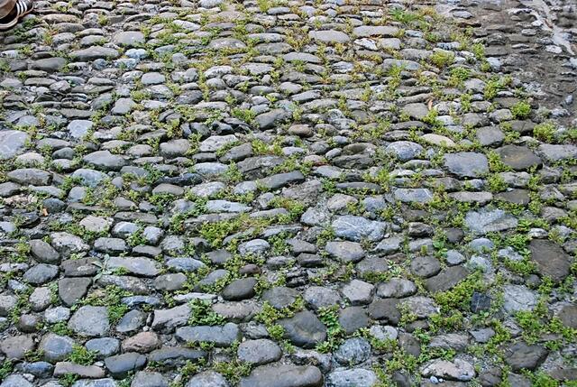 Weiter geht es über Kopfsteinpflaster, das sich anscheinend die Natur zurückerobert ...