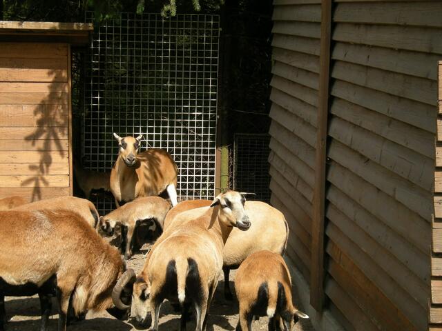 Hinten sind auch gute Verstecke.