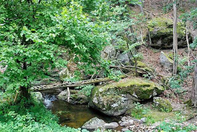 Spaziergänge am kleinen Bach entlang durch Cenne-Monestiès.
