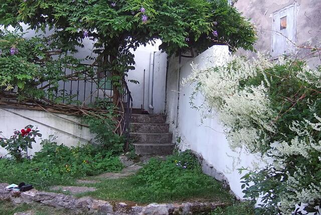 ... & wir stehen mitten in unserem verträumten Bauerngarten.