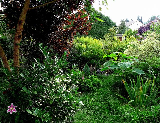 Ein letzter Blick, bevor ich durch die Haustüre wieder mich zurückziehe ... bestimmt kommt bald der Igel auf seiner abendlichen Tour ... :-)