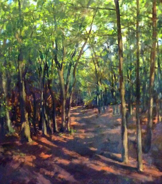 Buchen-Wäldchen bei Gladenbach-Weidenhausen: Thomas BEECHT. Privatbesitz.