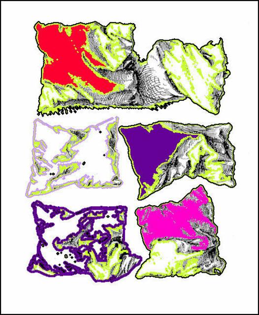 Was Albrecht DÜRERs Kissen-Metamorphosen und Proportionsstudien mit ARS EVOLUTORIA heute zu tun haben, kann man in Hahns Symmetriebuch nachlesen; als eBOOK seit 2011 nEU. A.a.O. Bild Fig. 627, Kap. 12.4. - coloriert wh 3-8-11