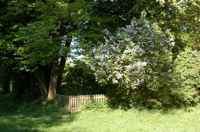 Bienengarten