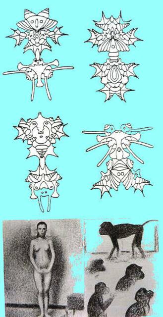 Abb. 669 a aus Hahns SB: Bilateralia-Vorlagen, die Thomas BEECHT in "NEO-Pointillismus" der ars evolutoria verwandelte: ATOMISMUS - anders als SEURATs Studien Modell und 5 Affen ...