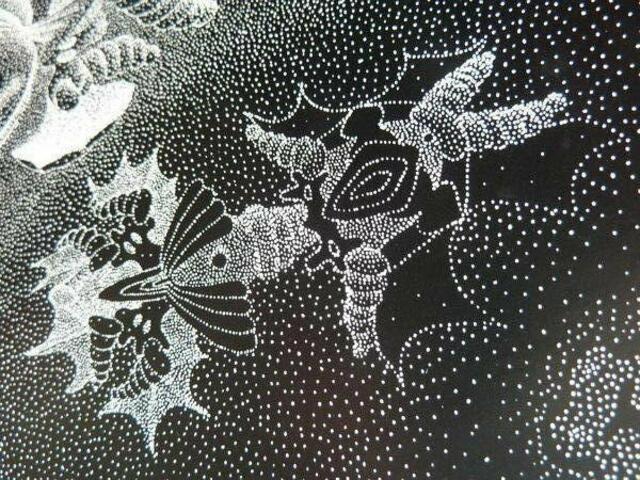 "ATOMISMUS" - "Lichtteilchen" nach Thomas BEECHTs Zeichnung ... Detail.