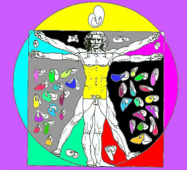 LEONARDO-Mann und ars-evolutoria-Transformationen in BUNT. Abb. 622 des Symmetrie-Buches. Siehe dazu das nachfolgende Gemälde, das Thomas BEECHT EXPRESSIV gestaltet hat - mit Ableitungen aus einer trasmutazione-di-forme-Abbildung; Zeichn. Kopf über dem Kopf.