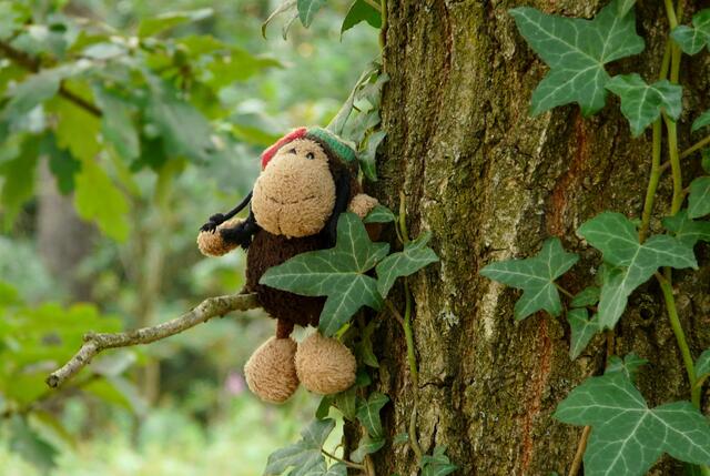 DAS SCHAF IM BAUM - Spaß in der Natur!