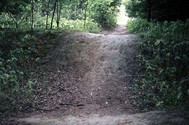Landwehrwälle im Ricklinger Holz.