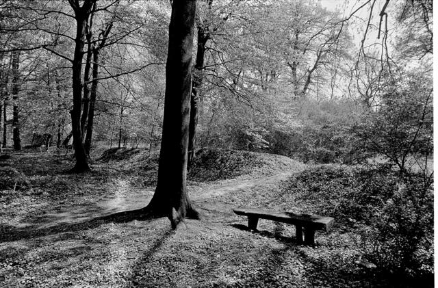 Reste von Wällen und Gräben im Ricklinger Holz.