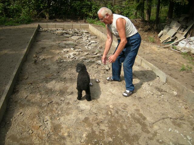 Heinz Zander , spielt mit seinen Pudel auf der entstehenden Boulebahn des Vereins.