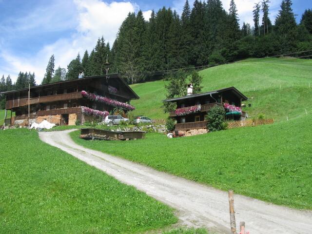 Immer wieder schöne Balkonblumen.