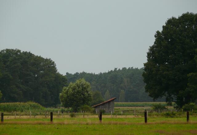 TYPISCHE LANDSCHAFT - IN DER BURGWEDELER FELDMARK.