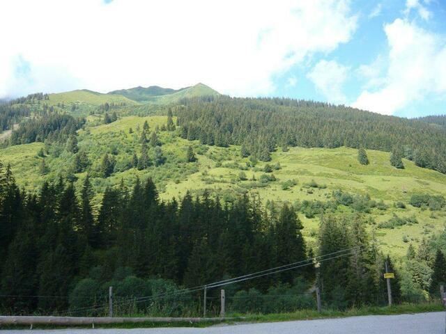 Satte Wiesen und Almen.