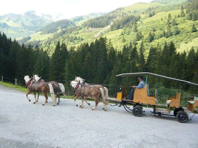Auch Kutschenfahrten konnte man machen.