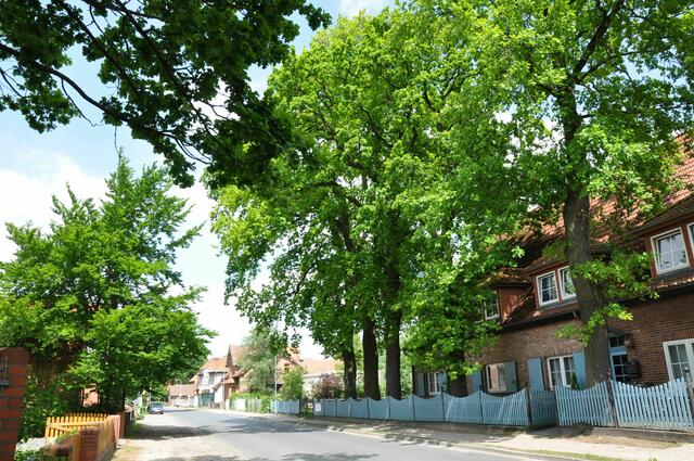 Im Detail - Hänigsen im Burgdorfer Land - ein Bericht von OKOK TELEVISION