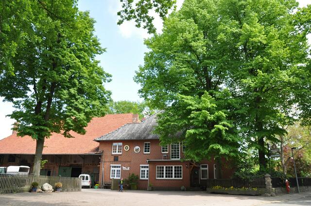 Im Detail - Hänigsen im Burgdorfer Land - ein Bericht von OKOK TELEVISION