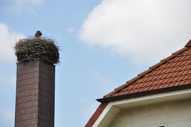 Im Detail - Hänigsen im Burgdorfer Land - ein Bericht von OKOK TELEVISION