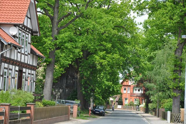 Im Detail - Hänigsen im Burgdorfer Land - ein Bericht von OKOK TELEVISION